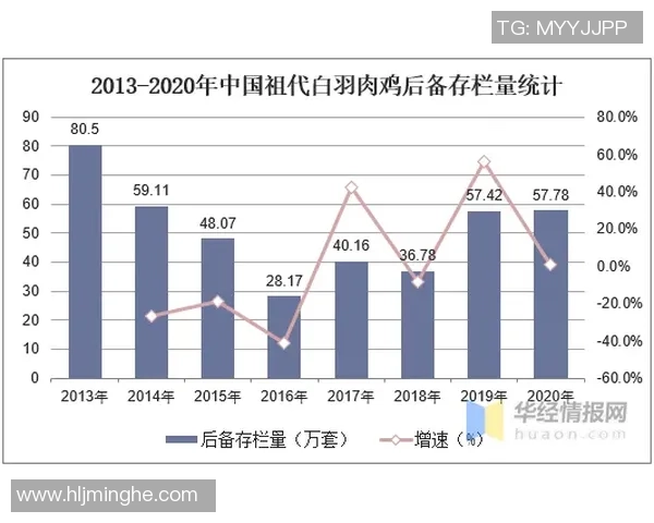 厄德高在球场上的精彩表现与未来发展潜力分析
